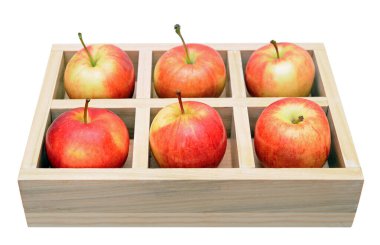 Premium gala elmaları