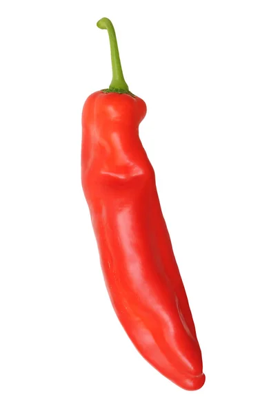 Single sweet red pepper — Stock Photo, Image
