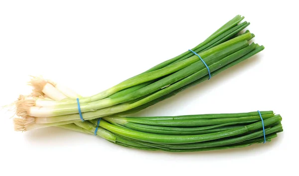 Onion leaf — Stock Photo, Image
