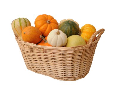 Mini kabaklar ve kabak