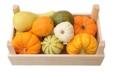 Sandıktaki küçük balkabağı. 