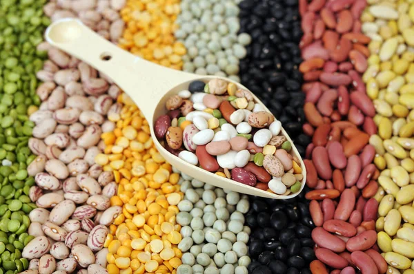 Mix of bean — Stock Photo, Image