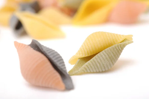 Conchiglie pasta — Stockfoto