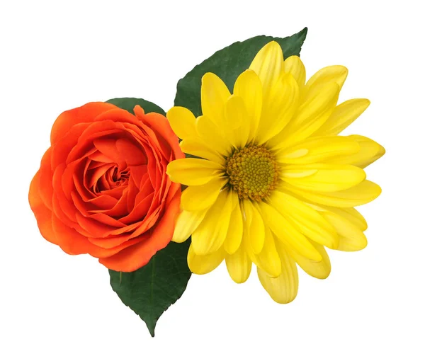 黄色的雏菊和橙色的玫瑰 — 图库照片