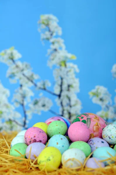Яичные конфеты — стоковое фото