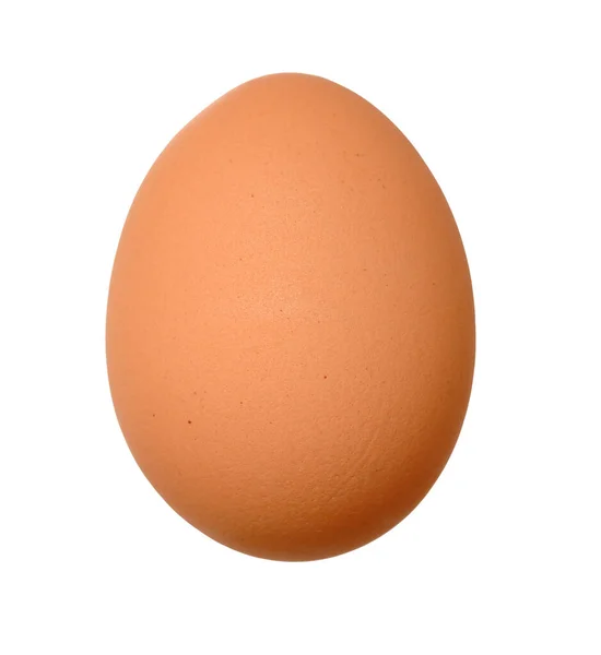 Одно свежее яйцо — стоковое фото