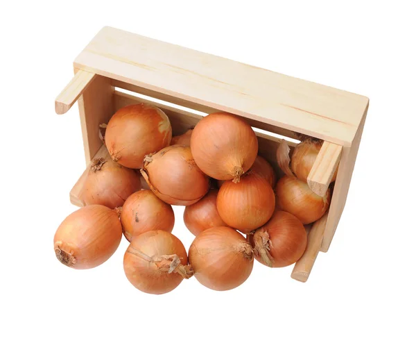Wiele cebuli — Zdjęcie stockowe