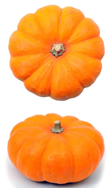 Mini pumpkin — Stock Photo, Image