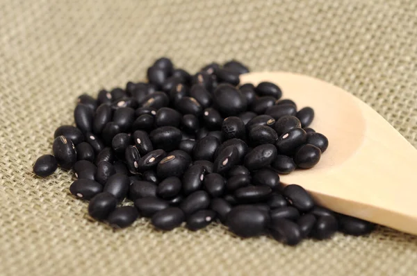 黑豆 — 图库照片