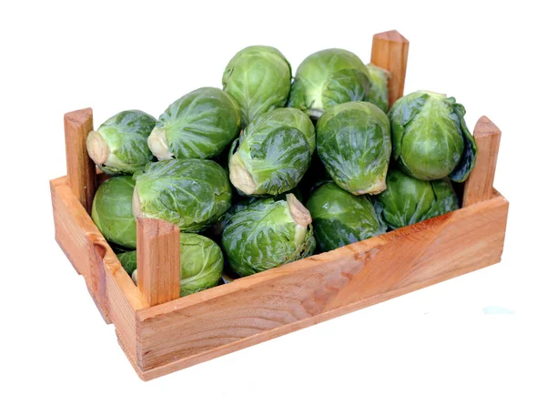 Rosenkohl sprießt in Kiste — Stockfoto