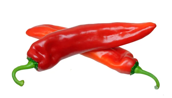 Korsa två paprika — Stockfoto