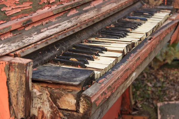 Vieux Piano Cassé Recouvert Feuilles Tombées Automne Extérieur — Photo