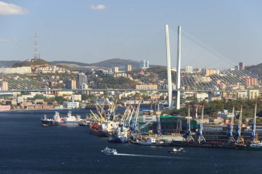 Vladivostok, Rusya - 5 Ekim 2019: Krestovaya Tepesi 'nin tepesindeki bir izleme platformundan liman ve şehir merkezi panoraması.
