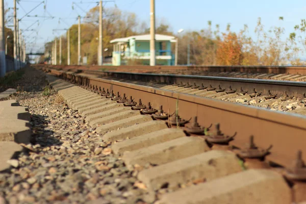 Railway Rails Concrete Sleepers Close Fall Day — ストック写真