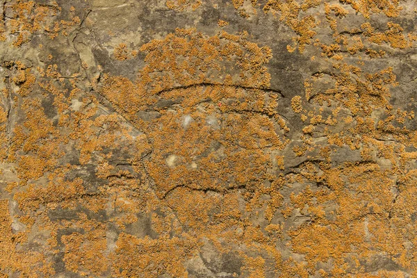 苔で覆われた古い石壁の石積みのクローズアップ — ストック写真