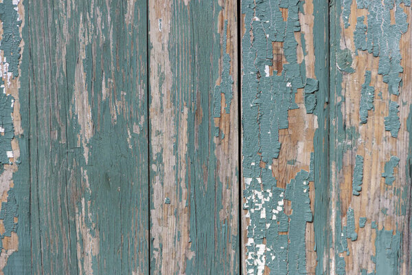 The surface of old boards, painted with blue paint, peeled off and burnt out in the sun.