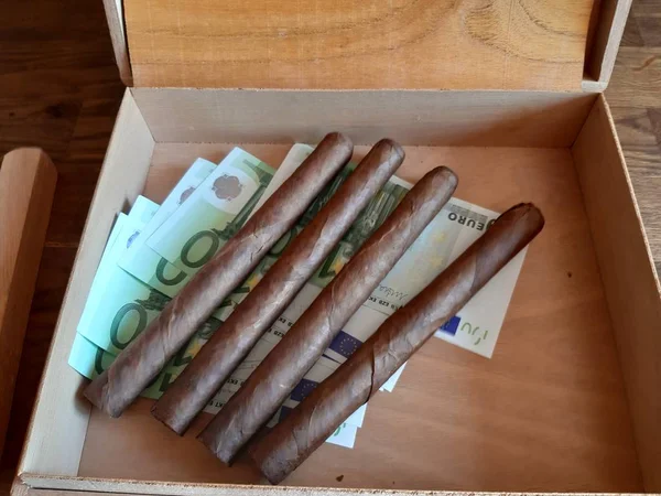 Doftande Kubanska Cigarrer Ett Tecken Välstånd Och God Smak — Stockfoto