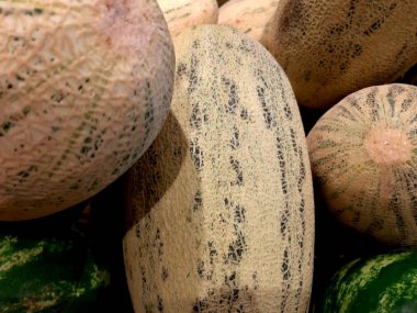 Yaz. Büyük, kokulu, sulu, tatlı kavunolgun laşmış.