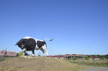 Mavi gökyüzü. Tepede büyük bir beyaz-siyah boğa duruyor.