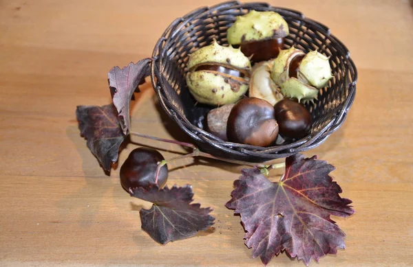 Autumn Composition Chestnuts Red Grape Leaves — Stock Photo, Image