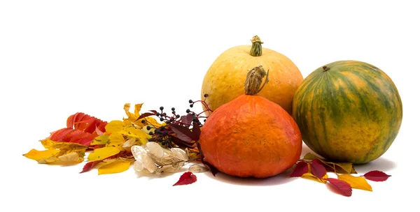 Beyaz arka planda izole edilmiş balkabakları ve yapraklar. Mutlu Şükran Günleri