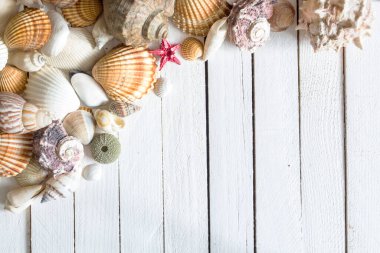 Beyaz ahşap arka planda deniz kabukları. Yaz zamanı arkaplanı.