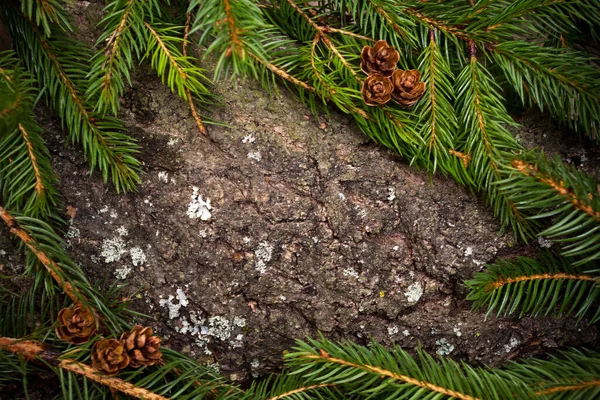 Ramas Árbol Navidad Con Adornos Estrellas Luces Sobre Fondo Madera — Foto de Stock