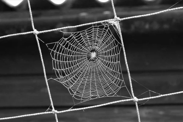 Monochrome Image Spider Web Knotted Square Disused Football Goal Net — Stock Photo, Image