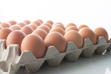 Fotokopi alanı olan karton kutuda tavuk yumurtası