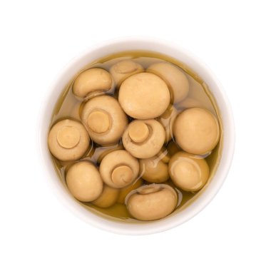 Korunmuş şampiyon mantar beyazda izole edilmiş.