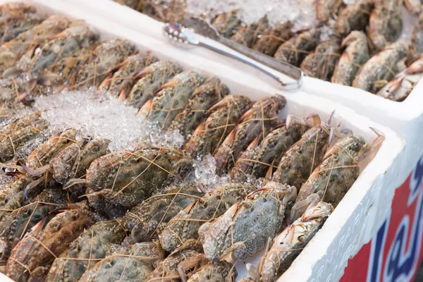 Crab Blu Granchio Scatola Schiuma Ghiaccio Nel Mercato Fresco — Foto Stock