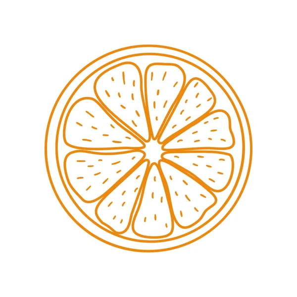 オレンジのアイコン。明るい白い背景に隔離されたアウトライン要素。ストック・ベクトル・イラスト。現代のクリエイティブデザイン、ロゴ、バナー、パッケージ、カバー、プリント、メニュー、ステッカー、ラベルなど. — ストックベクタ