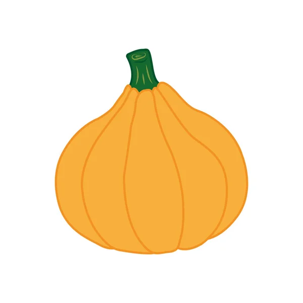 Pumpkin isolated on white background. Flat design style. Vector colorful illustration. Great for holiday or original design, banners, cards, prints, textiles, logo, labels, and more creatives ideas. — Stock Vector