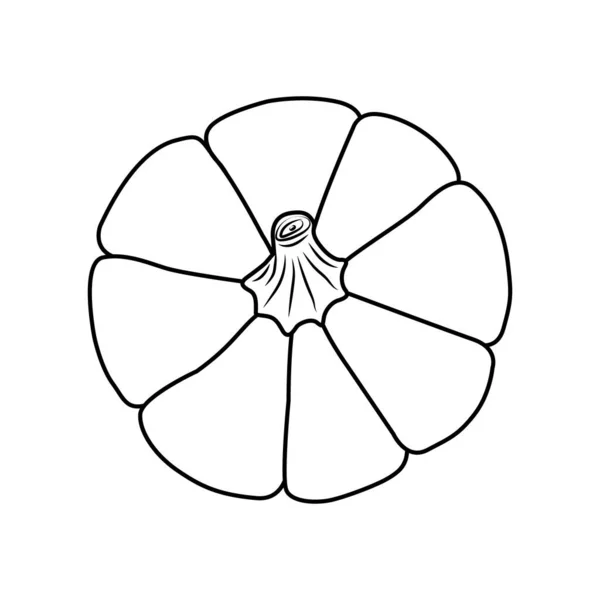 Top view tökfej. Elszigetelt vázlat fehér háttérrel. Egyszerű stílus. Vektor illusztráció. Nagy használható kiegészítő design, bannerek, kártyák, nyomatok, textíliák, logó, címkék és kreatív ötletek. — Stock Vector