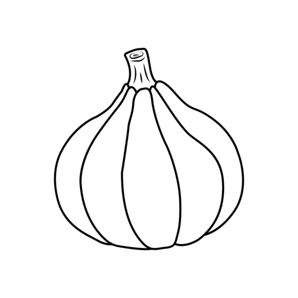 Icono de calabaza. Diseño simple. Esquema negro aislado sobre fondo blanco. Ilustración vectorial. Ideal para su uso como un diseño adicional, pancartas, tarjetas, impresiones, textiles, logotipo, etiquetas e ideas creativas — Archivo Imágenes Vectoriales