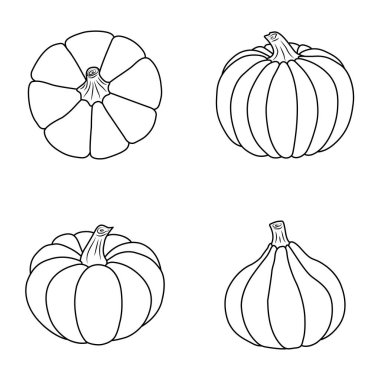 Balkabağı ikonu seti. Beyaz arka planda izole edilmiş siyah çizgiler. Basit bir tarz. Vektör çizimi. Ek bir tasarım için harika, pankartlar, kartlar, baskılar, tekstil, logo ve daha fazla yaratıcı fikir