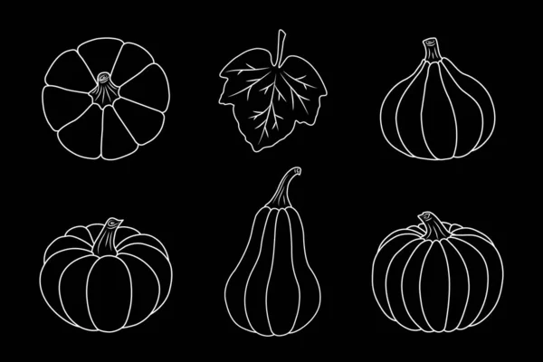 Pumpkin Icons Set Isolated White Outline Black Background Simple Style — Stock Vector
