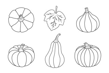 Balkabağı ikonları hazır. Beyaz arka planda izole edilmiş siyah çizgiler. Basit bir tarz. Vektör çizimi. Minimalist tasarımlar, pankartlar, kartpostallar, baskılar, tekstil, logolar ve diğer fikirler için harika