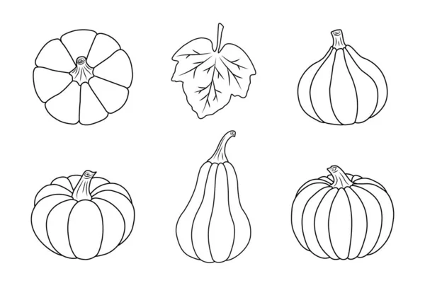 Тыквенные Иконки Изолированный Черный Контур Белом Фоне Простой Стиль Векторная — стоковый вектор