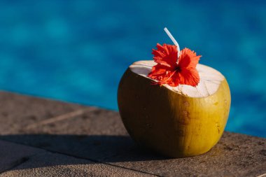 Lüks tropikal otellerde havuzun kenarında saman bulunan sarı hindistan cevizli lezzetli yaz içeceğini kapatıyoruz. Egzotik kırmızı çiçekle süslenmiş ferahlatıcı bir içecek..