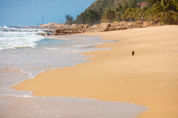 Beautiful Sandy Beach Light Sea Waves Huge Stones Palm Trees — Stock Photo, Image