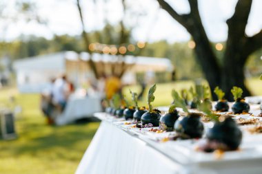 Modern aperatifler bayram masasında servis ediliyor. Temiz havada nefis yemekler. Yemek masasında güzel bir düzenleme..