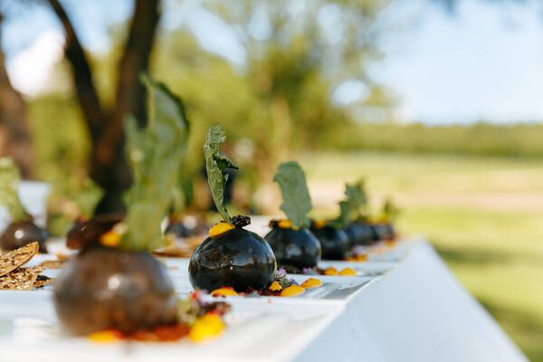 Exclusive tasty dishes in trendy servings on white plates over blur background of green nature. Delicious food prepared for guests by professional chief cook.
