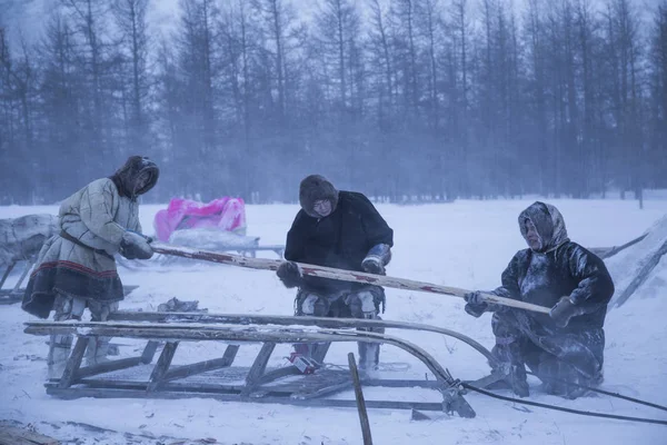 Yamalo Nenets Autonomní Okrug Polar Urals Nenets Lidé — Stock fotografie