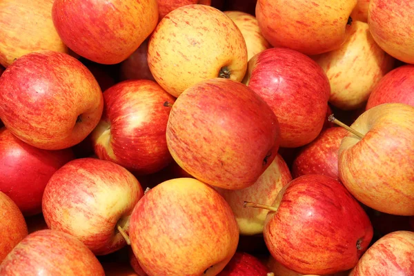 Montón de manzana roja. Hermosa fruta roja de manzana — Foto de Stock