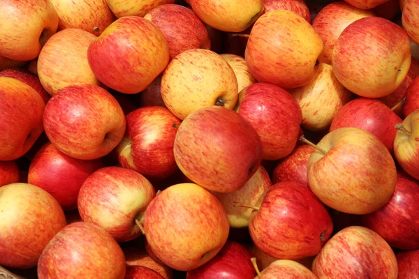 Czerwone jabłko. Stos pięknych owoców jabłoni — Zdjęcie stockowe