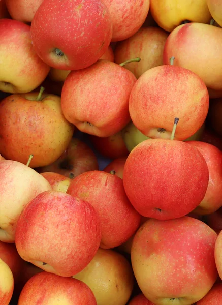 Grupo de manzanas. Mucho fondo de frutas de manzana — Foto de Stock