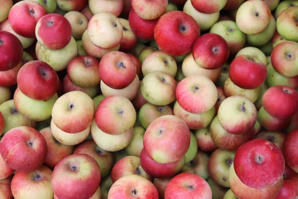 Fondo de manzanas. Frutas frescas de manzana textura de fondo — Foto de Stock