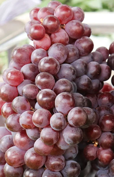 Uva Roja Fresca Una Frutería — Foto de Stock