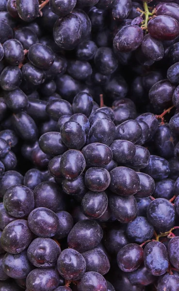 Fondo Uvas Negras Montón Uvas Maduras —  Fotos de Stock